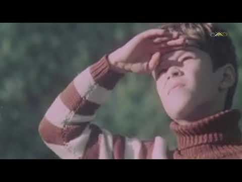 Видео: Эдуард Артемьев - Мой дельтаплан