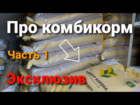Видео: Производство КОМБИКОРМА / Разговор с "ЮЖНОЙ КОРОНОЙ" / Бюджетный "БРЮХОКОРМ"