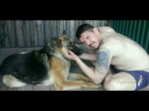 Видео: Кобяков Аркадий Олегович. Монтаж на песню: Людвиг Ван Бетховен - Мелодия слез.