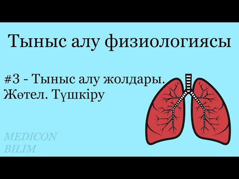 Видео: Тыныс алу жолдары. Жөтел. Түшкіру | Физиология курсқа тіркелу👇