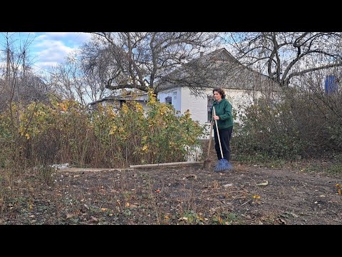 Видео: Наші будні 31 жовтня 2025