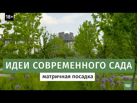 Видео: Матричная посадка растений. Ландшафтный дизайн сада.