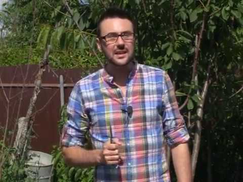 Видео: Программа Дачные сезоны выпуск №65 от 5 августа 2017.