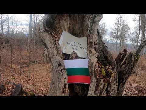 Видео: Компас /119/ Изкачване на връх Билска чука /1644 метра/ - най-висок в българската част на Огражден.