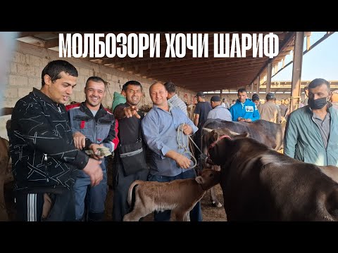 Видео: 👍НАВОР ЗУРИ БАД ШУД👍.МОЛБОЗОРИ ХОЧИ ШАРИФ. 12 сентября 2025 г