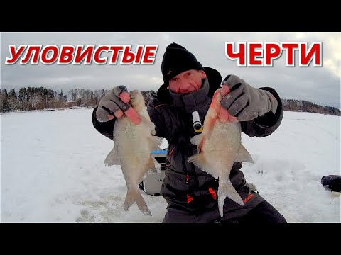 Видео: ЭТИ ЧЕРТИ ЛОВЯТ БЕЗ ИГРЫ. Рыбалка на ПАРОВОЗ и ЧЁРТИКА. Январь 2022.