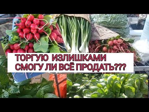 Видео: ТОРГОВЛЯ НА РЫНКЕ ИЗЛИШКАМИ С ОГОРОДА//СМОГУ ЛИ ВСЁ  ПРОДАТЬ???