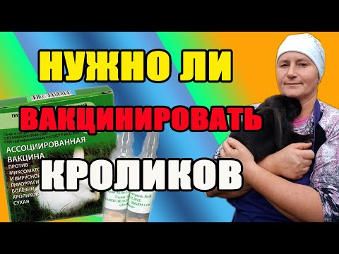 Видео: Нужно ли вакцинировать кроликов. Почему гибнут кролики.
