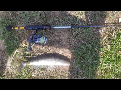 Видео: Рыбалка. Мормышинг. Отловились по окуню и судаку.2021