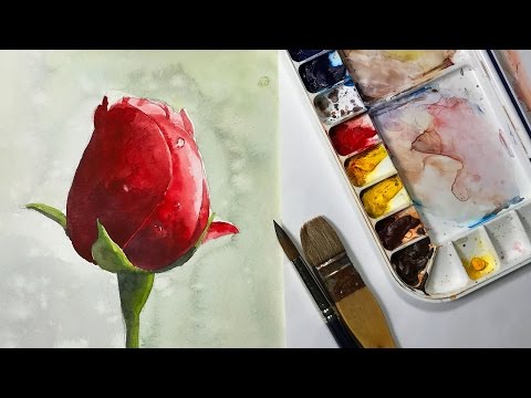 Видео: Натюрморт №46 — Как нарисовать бутон красной розы акварелью