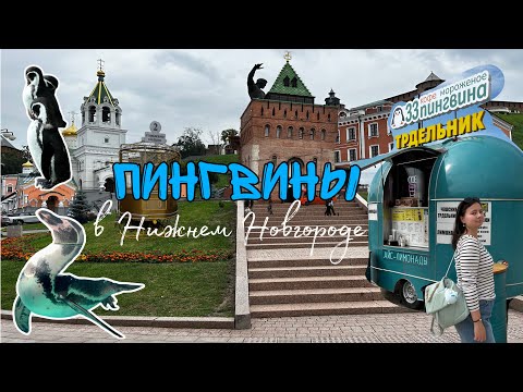 Видео: Послевкусие от Нижнего Новгорода. Почему об этом молчат?