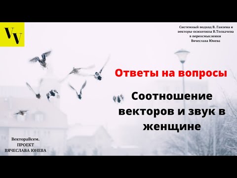Видео: Соотношение векторов и звук в женщине. ВектораВсем. Проект Вячеслава Юнева