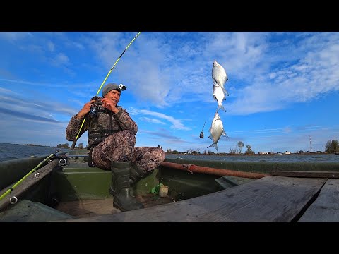 Видео: НА ВСЕХ КРЮЧКАХ! ОДИН ДЕНЬ ЖИЗНИ В ДЕРЕВНЕ. РЫБАЛКА, ЯГОДЫ, ФОТОЛОВУШКА. Крупная густера на лесенку.