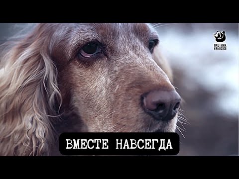 Видео: Вместе навсегда // Спутники охотника // Серия 1