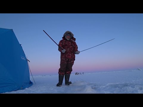 Видео: Рыбачу на ПАЛКИ- махалки, и мороз ни по чем )) 11.01.2024.