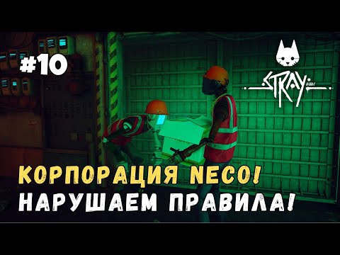 Видео: Stray #10 - Корпорация NECO! 😼 Нарушаем правила