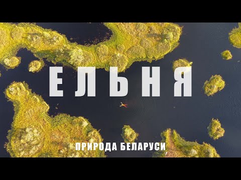 Видео: Самое популярное болото Беларуси - Ельня. Двухдневный поход в сапогах по пояс с гидом по болоту Мох