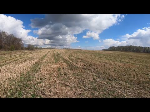 Видео: Интроник...  Кра-со-та!.....    Реальный коп