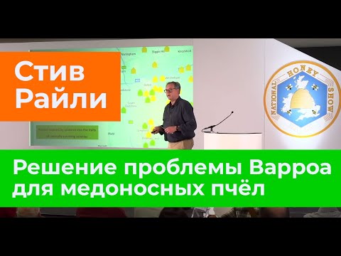 Видео: Стив Райли: Решение проблемы Варроа для медоносных пчел
