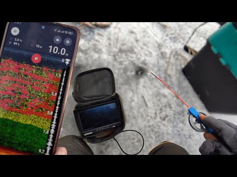 Видео: Зимова риболовля в лютому! Глянь як клює