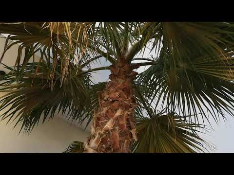 Видео: Отдых в ХОРВАТИИ. Морская прогулка. РУМ ТУР окончание.