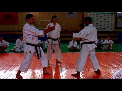 Видео: Техника кумите от сенсея Пембы Таманга 8 Дан | Фрагмент семинара по традиционному карате в г. Ровно