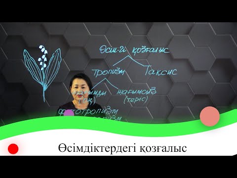 Видео: Өсімдіктердегі қозғалыс. 7 сынып.