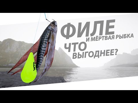 Видео: РУССКАЯ РЫБАЛКА 4 - Филе или мёртвая рыбка? Что выгоднее? / Норвежское море, фарм монет / Стрим
