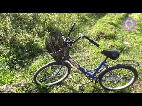 Видео: Деревенский влог от 12 сентября 2025