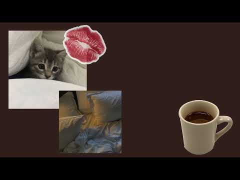 Видео: плейлист твоего кота, комфортный плейлист