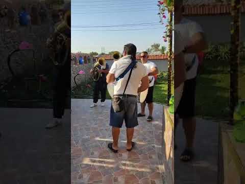 Видео: Сватба Ставерци