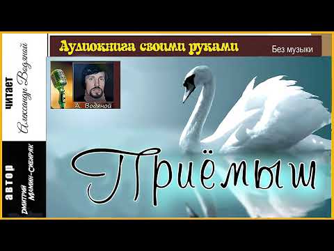 Видео: Д. Мамин-Сибиряк. Приёмыш (без муз) - чит. Александр Водяной