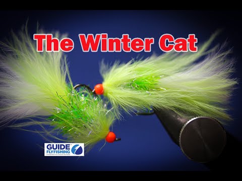 Видео: Зимний кот