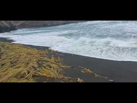 Видео: Итуруп