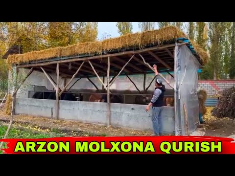 Видео: MOLXONA QURISH SIRLARI ODDIY ARZON USULDA✅✅✅5 ноября 2025 г.