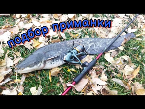 Видео: Пассивный судак. Подбор нужной приманки