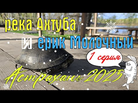 Видео: Неделя дикарями на реке Ахтуба и ерике Молочный. Харабали