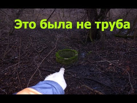 Видео: ПОДОШЕЛ БЛИЖЕ И ОБОМЛЕЛ СКОЛЬКО ИХ ТАМ БЫЛО!!!