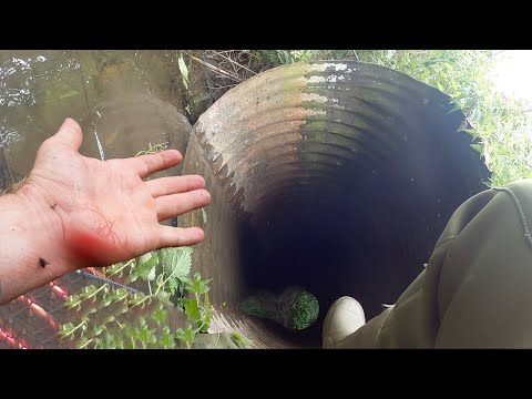 Видео: Это была КАТАСТРОФА, когда я упал в трубу во время рыбалки! Зато превосходный экшн на поверхности...