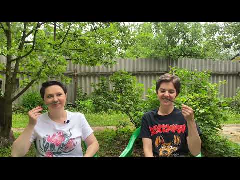 Видео: ДАЧНЫЕ СЕЗОНЫ😆ВЫПУСК ПЕРВЫЙ🤩СЛЕПЫЕ ЗАТЕСТЫ ОТ ВЛАДА @sdushkom