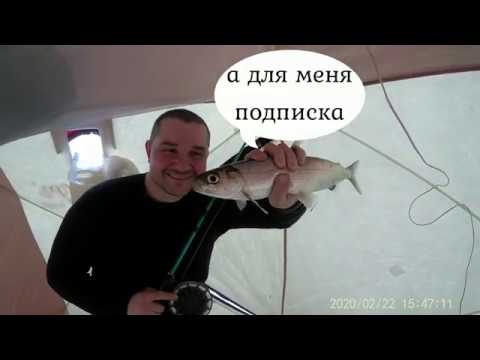 Видео: Зимняя рыбалка на Байкале с комфортом. 23 февраля. Омуль. Fishing to Baikal.