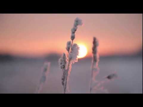 Видео: Зинаида Миркина.   Легчайший снег на крыльях белых  Спускался медленно с небес....