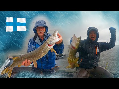 Видео: ЖОР ЩУКИ на СЛОМЕ ПОГОДЫ 🐟 РЫБАЛКА в ЖЁСТКИЙ ЛИВЕНЬ 💦 ПРИБЫЛИ в ФИНЛЯНДИЮ 🎣