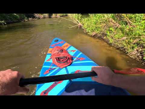 Видео: SAPпрогулка по р Лосиха через Косиху