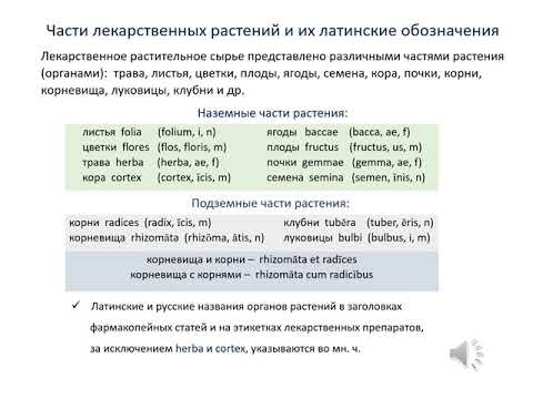 Видео: Семинар 10. Часть 2. Фармацевтическая терминология. Ботаническая номенклатура.