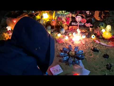 Видео: Чистка на Хелоуин - ВСЕМ  СФЕРАМ БЫТИЯ ОТКРЫВАЕМ ПУТЯ!!!😂🤩😘