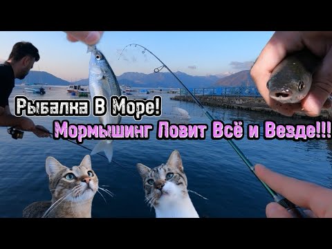 Видео: Рыбалка в Море!🇹🇷🌊 Мормышинг Ловит Всё и Везде!!!