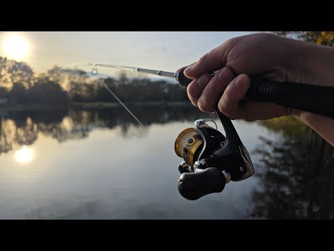 Видео: ЛОВИМ ЩУКУ ❗️рыбалка на щуку.ловля щуки. #щука #ловлящуки #рыбалка