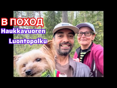 Видео: 6.9.2025 Поход в лес. Маршрут средней тяжести. Нашли редкие грибы#жизньвфинляндии#лес#finland#forest