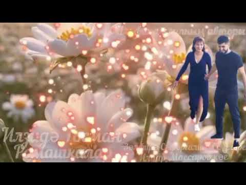 Видео: Илзидә Госман- Ромашкалар.